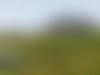 Staðan í Golfbúðarmótinu