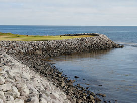 Sumarflatir á Hólmsvelli