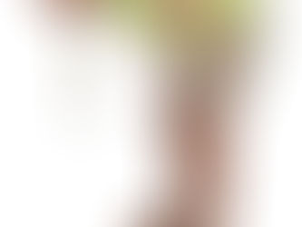 Stomach (and colon) Purgin' for Supper