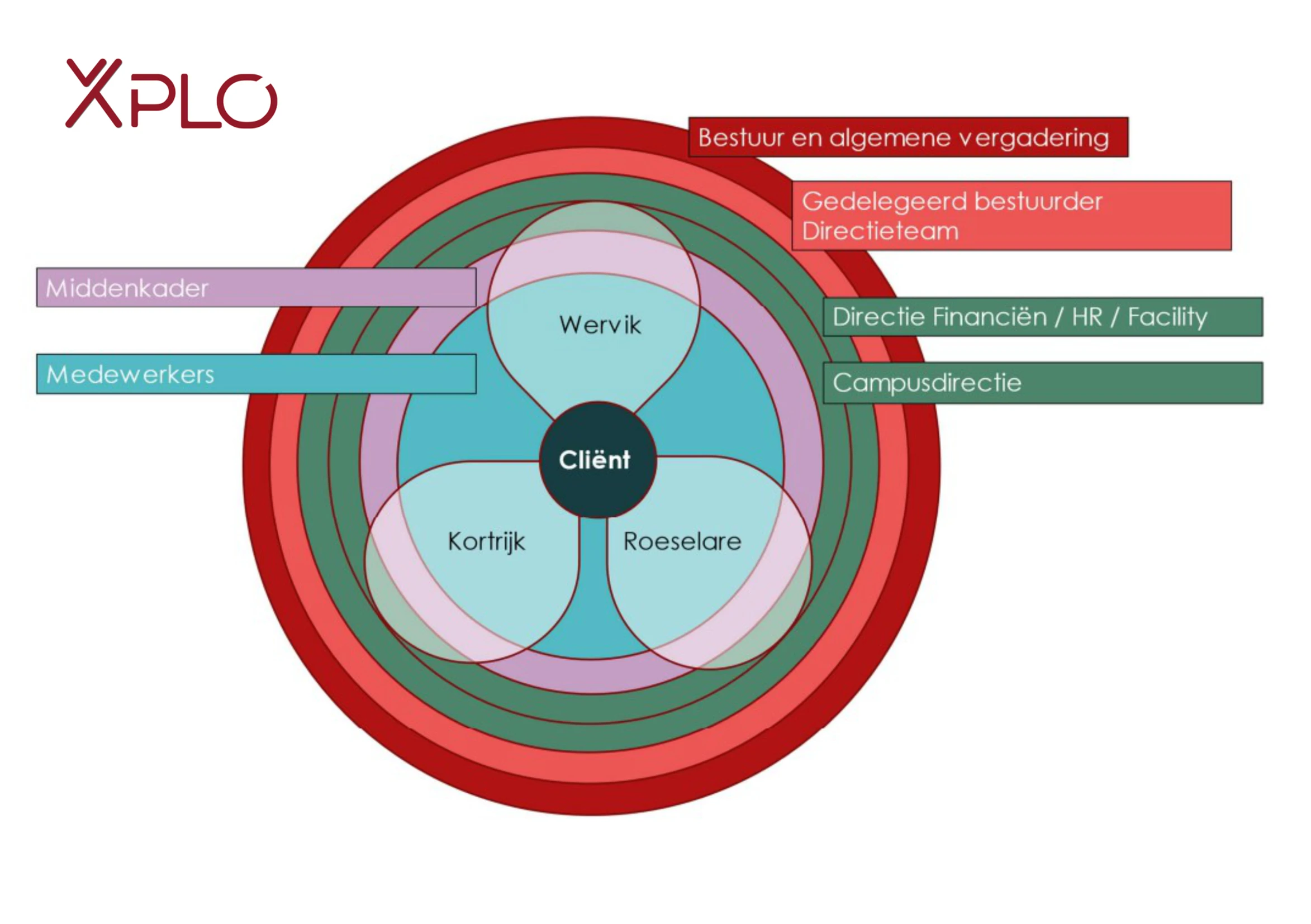 organigram xplo 2.webp