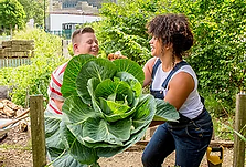 Community Garden melbourne community hea