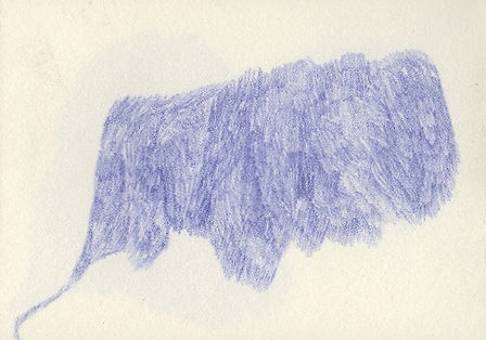 Le loup 2016 © Nathalie Rao c