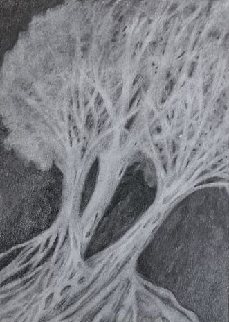 l arbre aux oiseaux 2020 nathalie rao.jpg