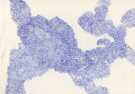 Le loup 2016 © Nathalie Rao b