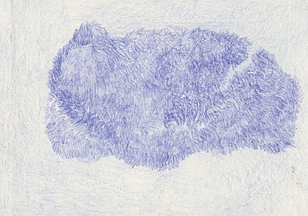 Le loup 2016 © Nathalie Rao f