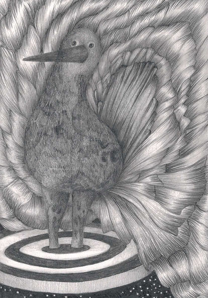 L'oiseau hallucine © Nathalie Rao