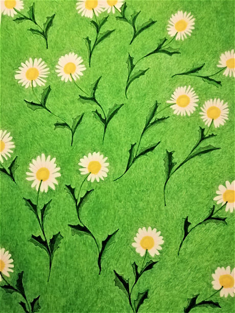 Daisy 2021 © Nathalie Rao