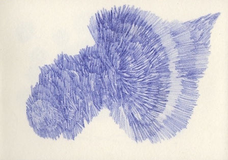 Le loup 2016 © Nathalie Rao d