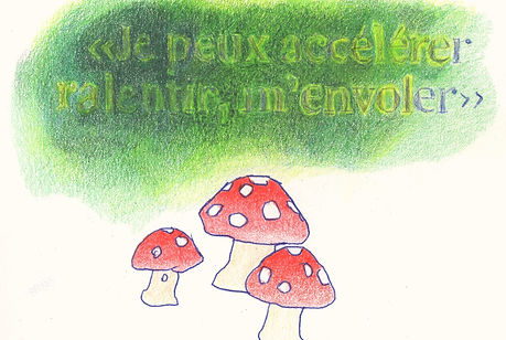 Souvenirs 2015 © Nathalie Rao e