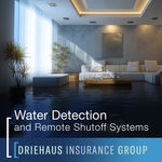 Water Detection and Remote Shutoff Systems