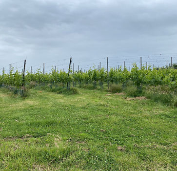 Domein_Franckenberg_Meensel-Kiezegem