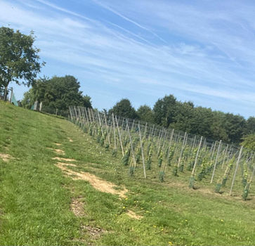 Domein_Franckenberg_Meensel-Kiezegem