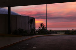 IMG_5546.jpeg