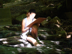 Some nature drawing art camp