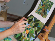 adult classes