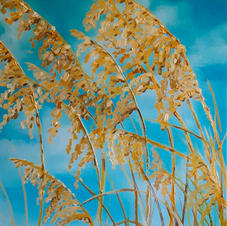 Sea Oats oil on canvas 16x20