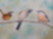 wren titmouse nuthatch.jpeg