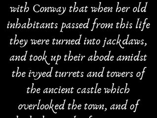 If you are born within Conwy's town walls, you are a Jackdaw... but what happens when you die?