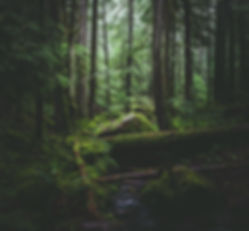 tatonomusic-2dYDV2nHSPI-unsplash_edited.jpg