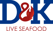 Freshly shucked Oysters