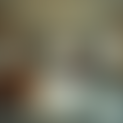 The need to integrate opt-in services into financial assistance models