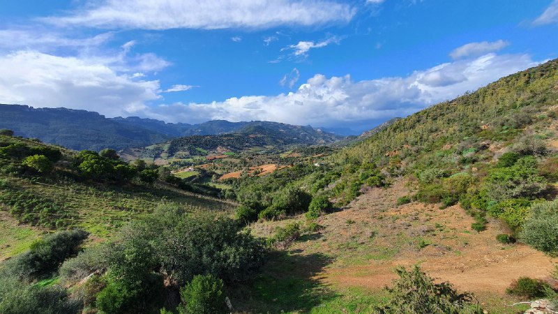 Wildniscamp auf Sardinien