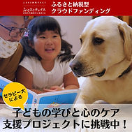 ふるさと納税
