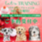 1月グループレッスン開催のお知らせ