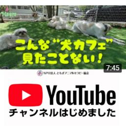 YouTubeチャンネルはじめました