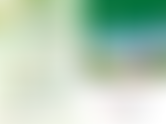 2024년 8월 11일 주보