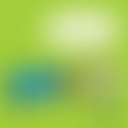 Jetty Road Weekly Blog 4/08/25