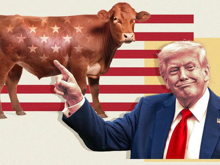 Jetty Road Weekly Blog 18/08/25