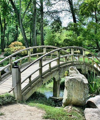 Paysage Consultation du site