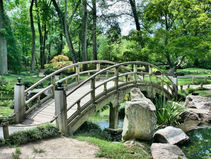 Wooden bridge over a calm pond , symbolizing reflection and reconnection with the body.”