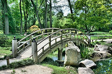 Paysage Consultation du site
