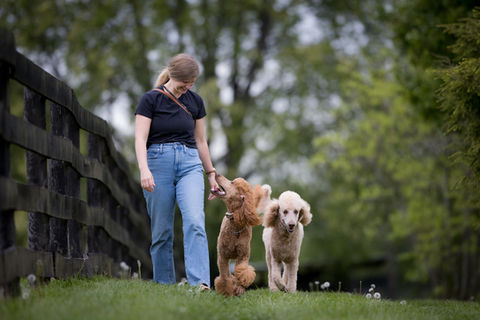 23_0428_Malissa and poodles-ww-4530.jpg