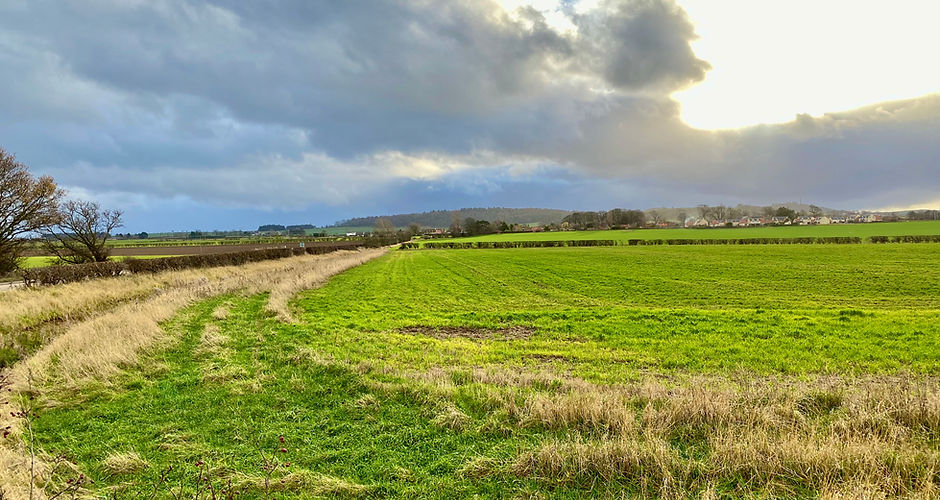 Path near Drem.jpeg