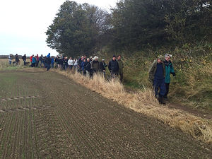 Community walk.jpeg