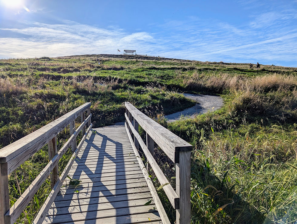 Mount Trashmore