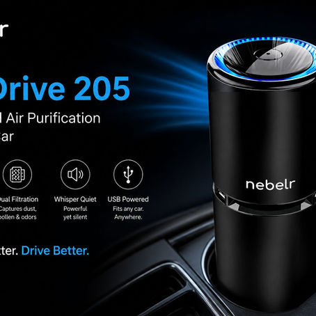 Smart Air Purifier Ionizer