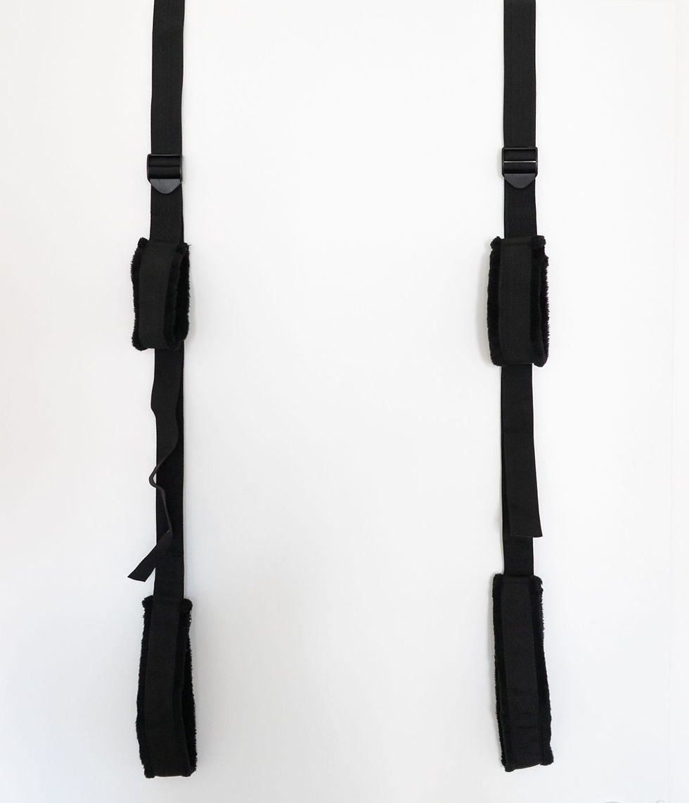 Thumbnail: Fetish Dreams Door Swing Black