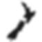 nz-icon.png