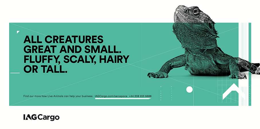 Screen Shot 2019-11-02 at 16.13.03.png