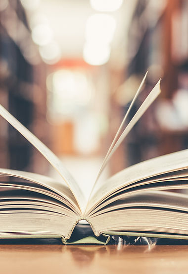 Apri il libro di testo nella libreria