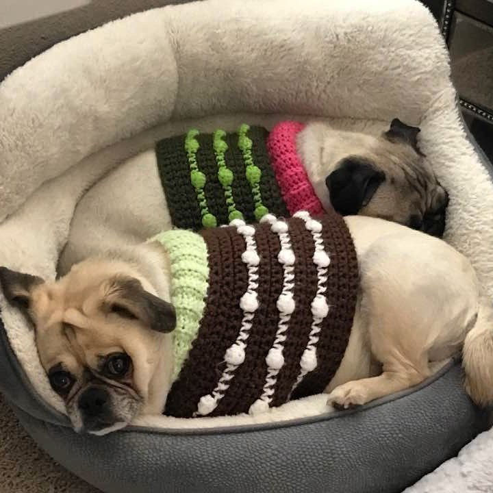 Thumbnail: Size XS - Dog Sweater Vest - Baby Powder