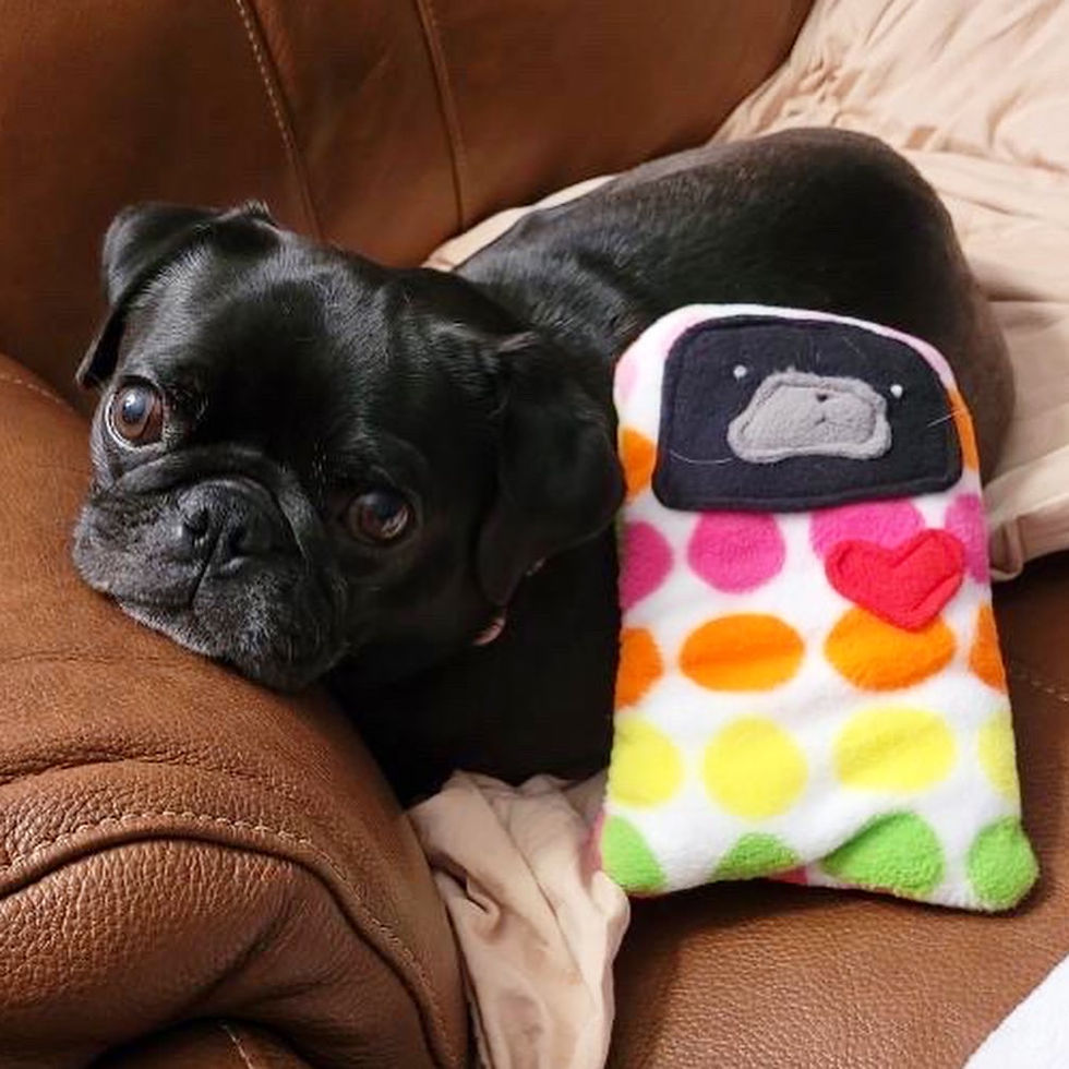 Thumbnail: Sprout - The Sweet Pea Bummlie - Yellow ~ Stuffing Free - Active Chewers