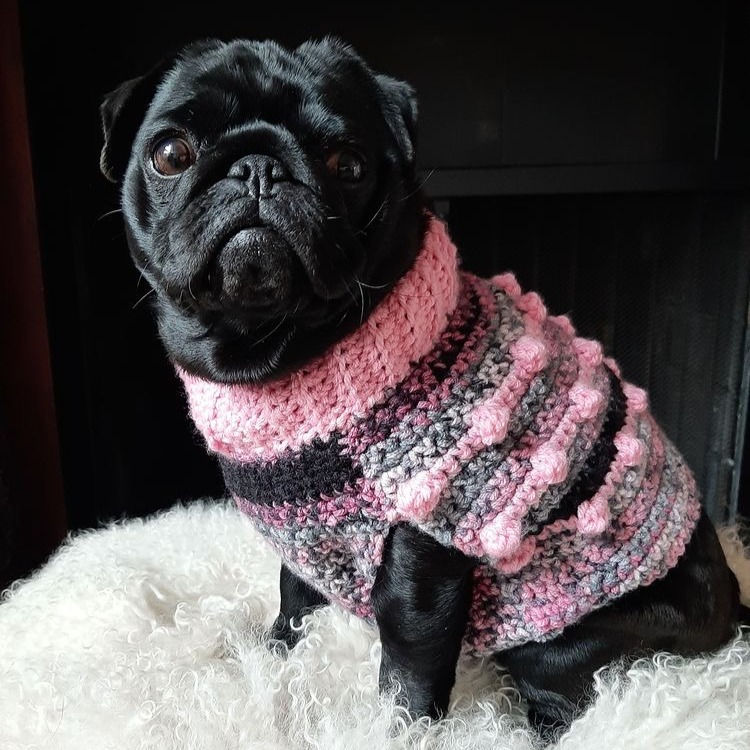 Thumbnail: Size M - Dog Sweater Vest - Tuna Roll
