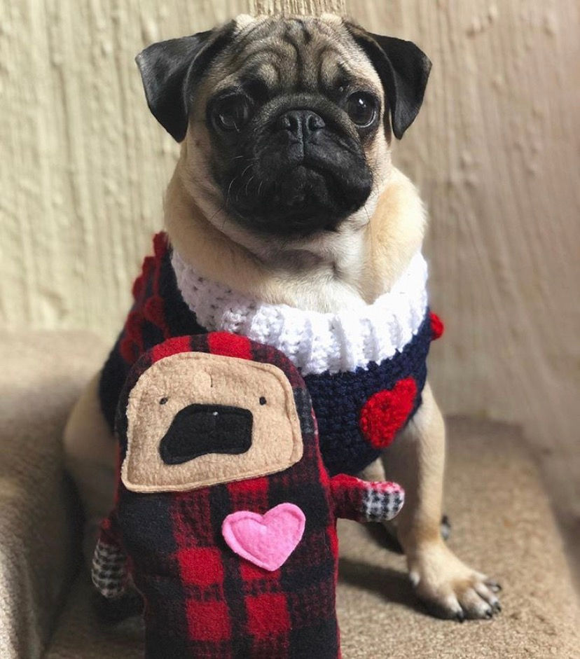 Thumbnail: Pie - The Pug-Jama Bummlie ~ Stuffing Free Dog Toy