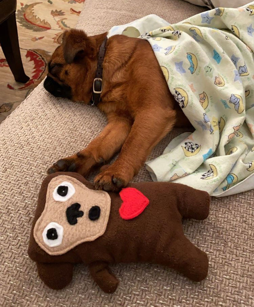 Thumbnail: Shrimp ~ The Chimp Bummlie ~ Stuffing Free Dog Toy
