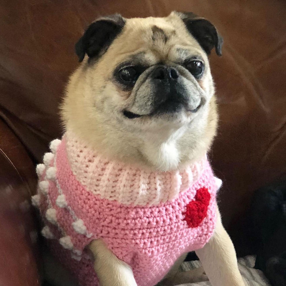 Thumbnail: Size M - Red Heart Badge Sweater Vest - Powder Puff